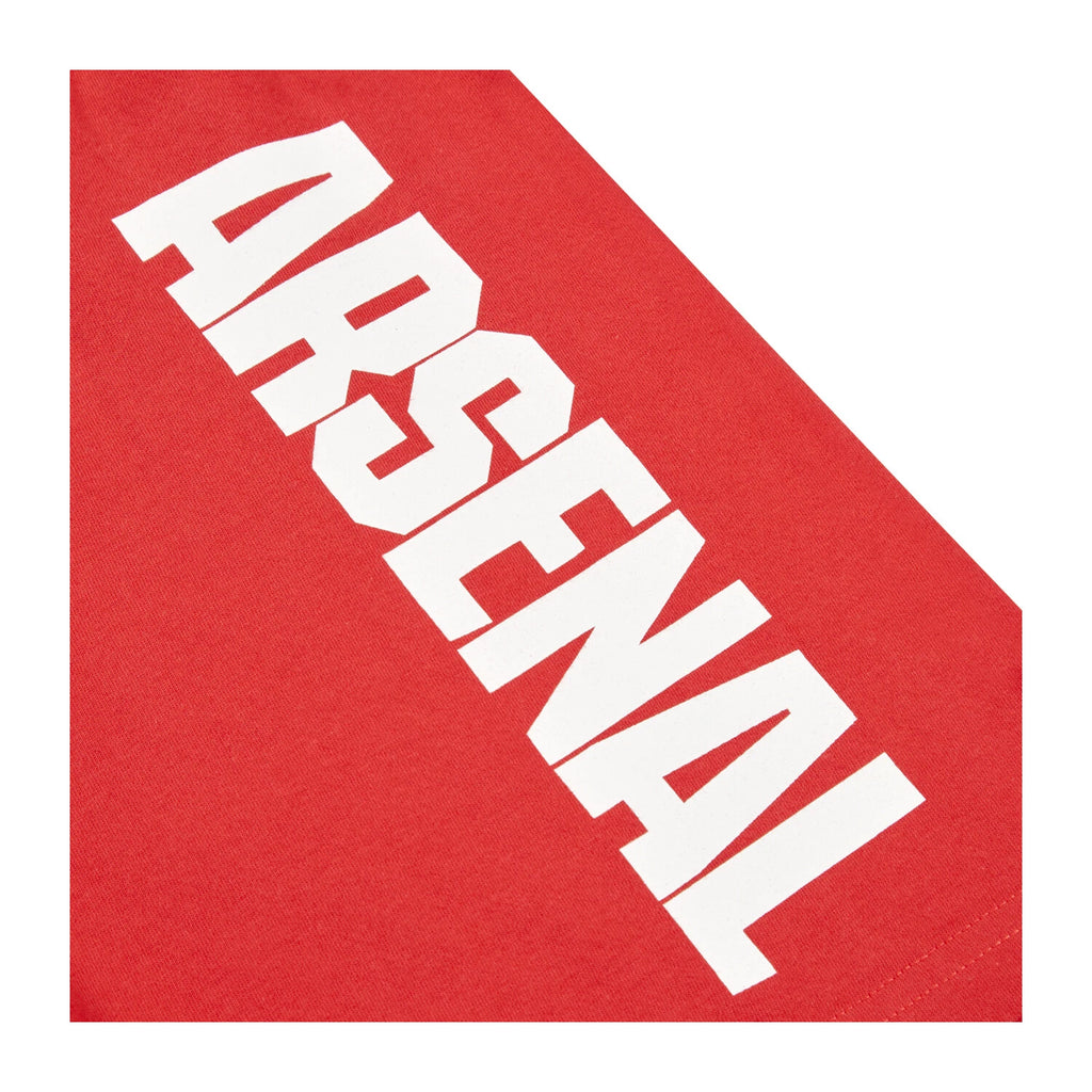 Arsenal F.C. Boys Pyjamas, AFC T-Shirt and Shorts PJs Set, Official Merchandise