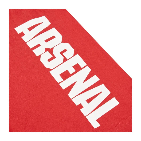 Arsenal F.C. Boys Pyjamas, AFC T-Shirt and Shorts PJs Set, Official Merchandise
