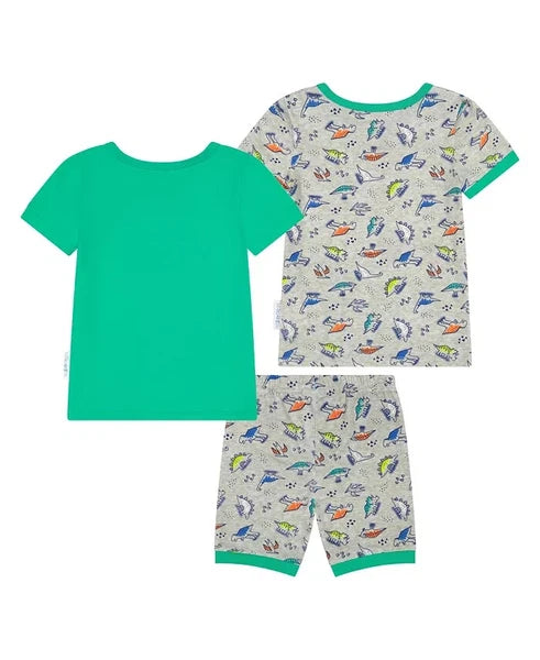 MAX & OLIVIA Baby Dinosaur Snug Fit Pajama, 3 Piece Set Green/ Gray PICK SIZE
