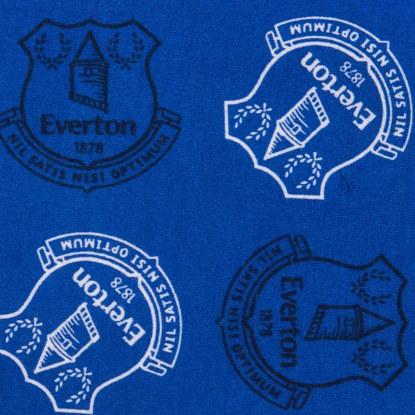 Everton FC Baby Pyjamas Long Boys Kids Official Football Gift